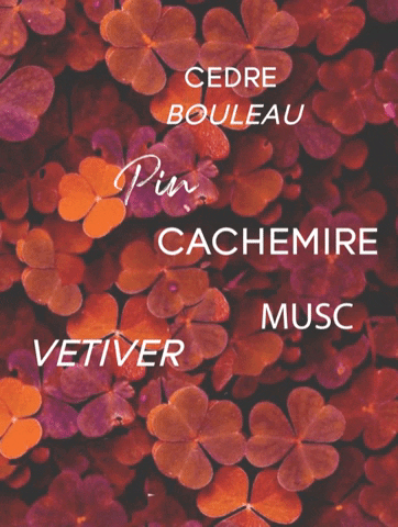 Zodiac Taureau (Taurus) Candle In French description