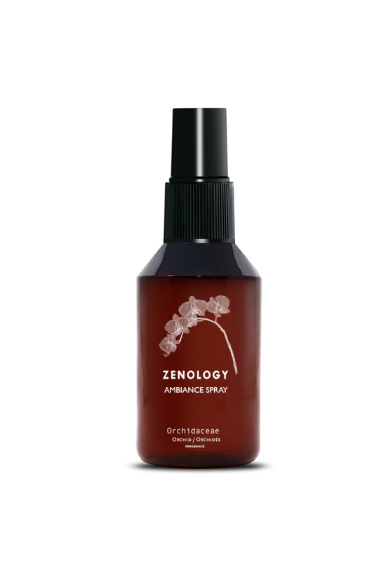 Ambiance Spray Orchid / Orchidaceae