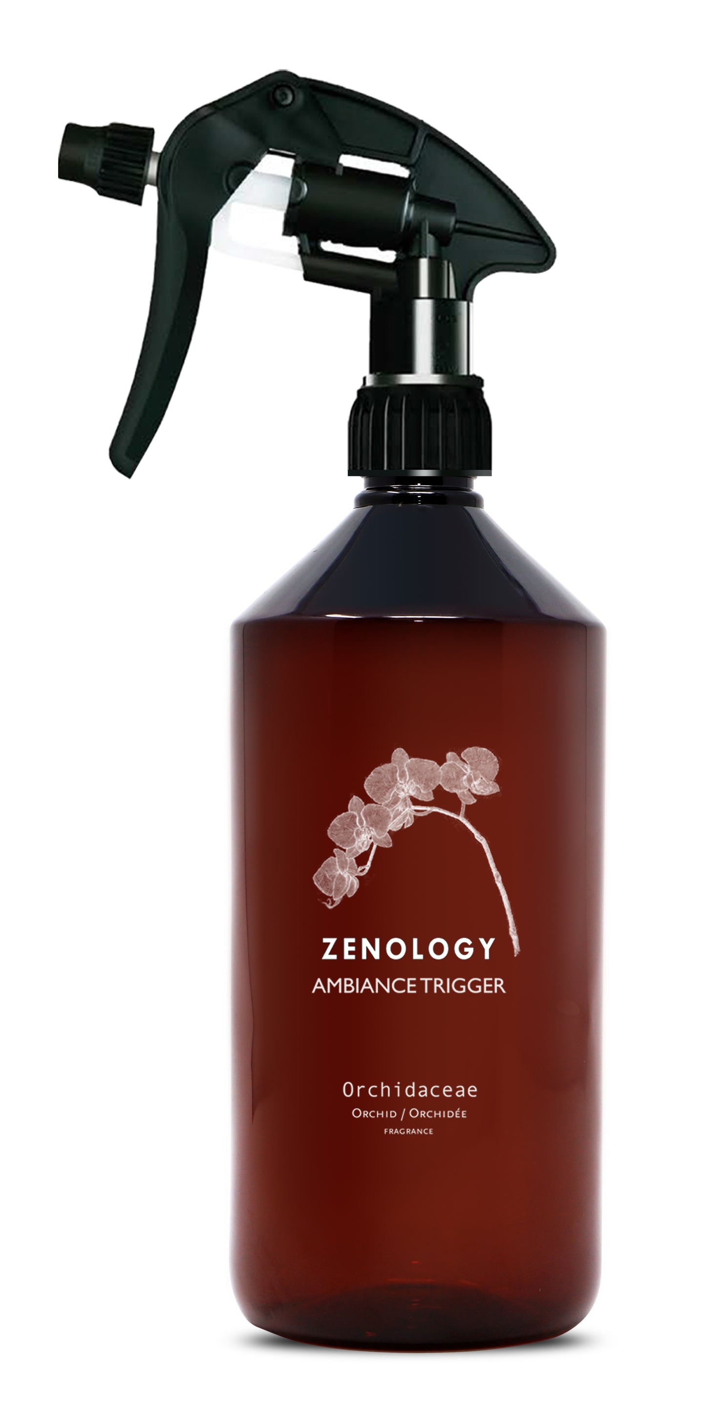 Ambiance Spray Orchid / Orchidaceae