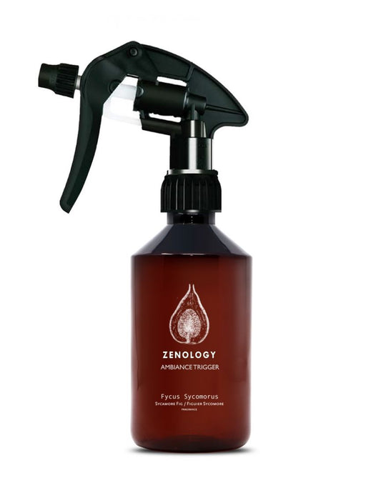 Ambiance Spray Sycamore Fig / Fycus Sycomorus