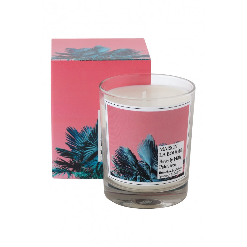 Wallpaper – Beverly Hills Palm Tree Candle